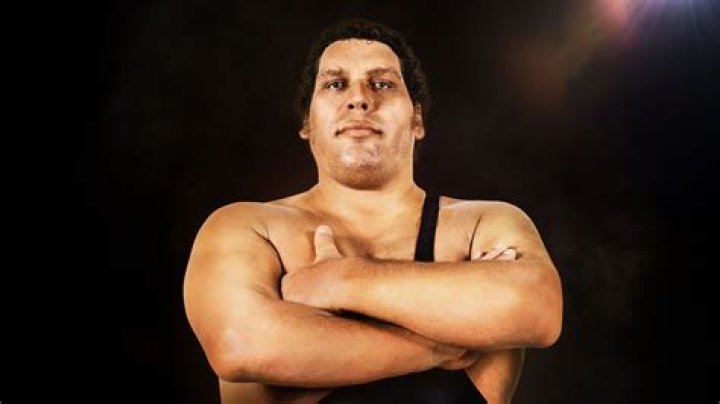 Andre The Giant