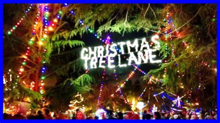 Christmas Tree Lane: Christmas Celebration In Fresno - SarkariResult
