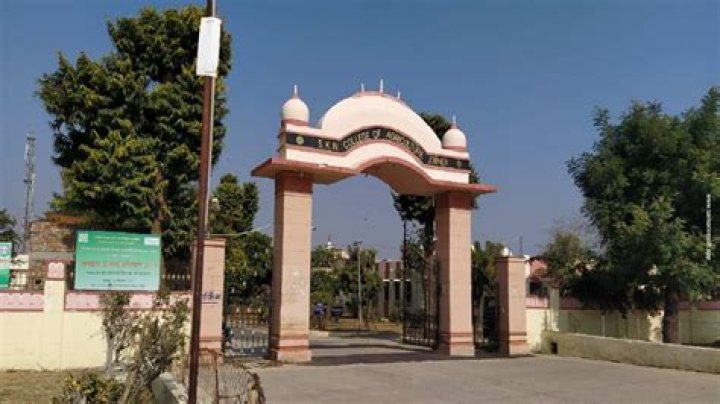 Giannis Michailidis Net Worth: Details About Him, Career, Home, Age, Income - SarkariResult