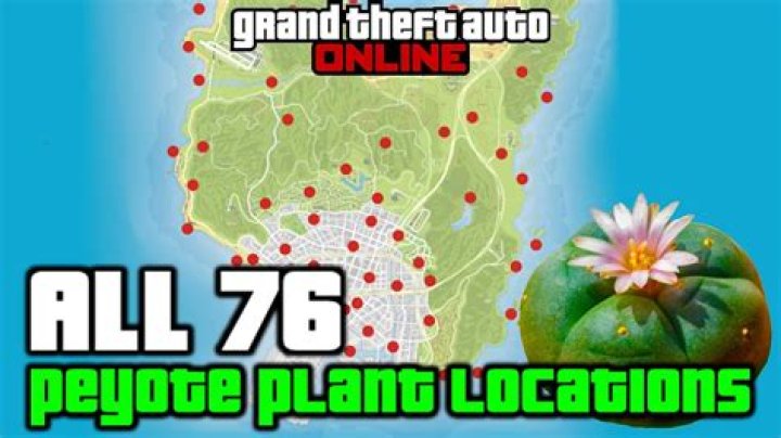 GTA Online 76 Peyote Plant Locations, Know Gameplay, Trailer & More - SarkariResult