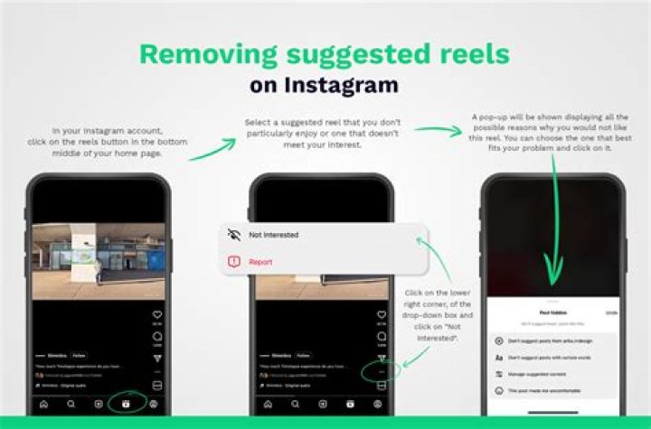 How to Fix Instagram Suggested Reels Not Working? - SarkariResult
