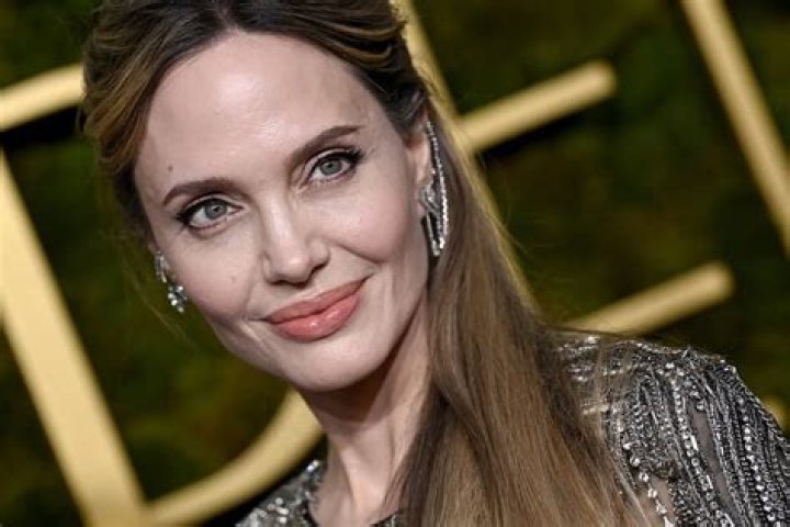 Is Angelina Jolie's 2023 Net Worth More Astonishing Than Her Hollywood Career? - SarkariResult