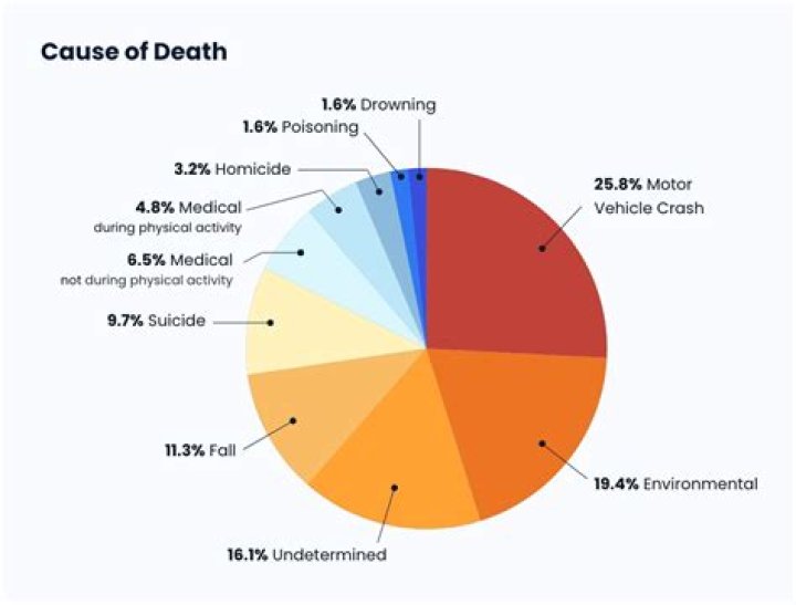 Kayla Penoli Accident: Cause of Death – What Happened To Her?