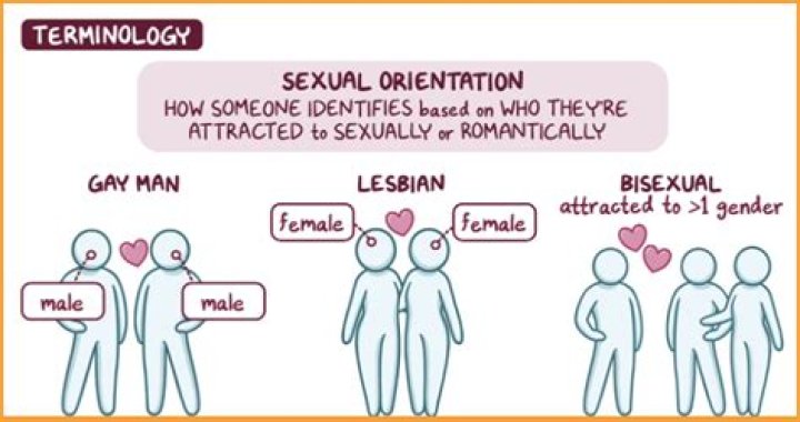 Mo Rocca's Sexual Orientation and Background: Exploring Mo Rocca's Identity - SarkariResult