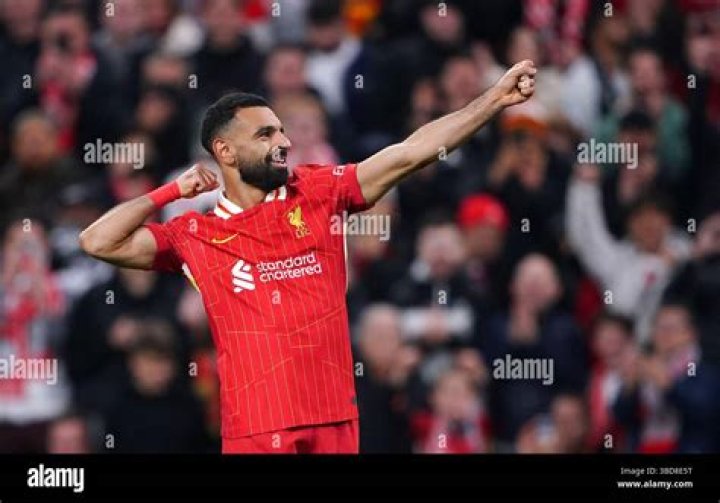 Mohamed Garoui video statistics