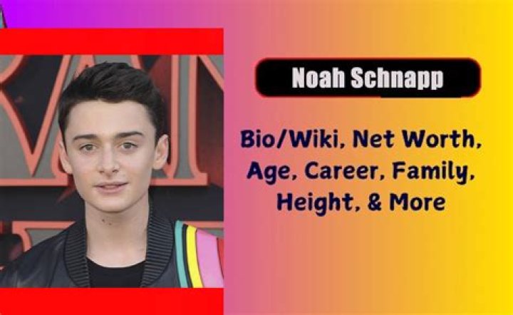 Noah Schnapp Net Worth: Details About Movies, Career, Home, Cars, Income - SarkariResult