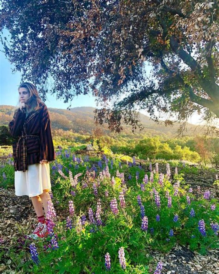 Rachel Arlook Net Worth