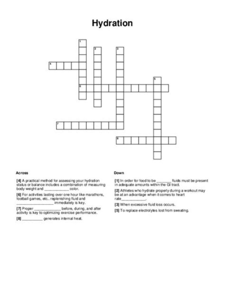 Retailer that sells hydration packs NYT Crossword Clue | 17 June 2023