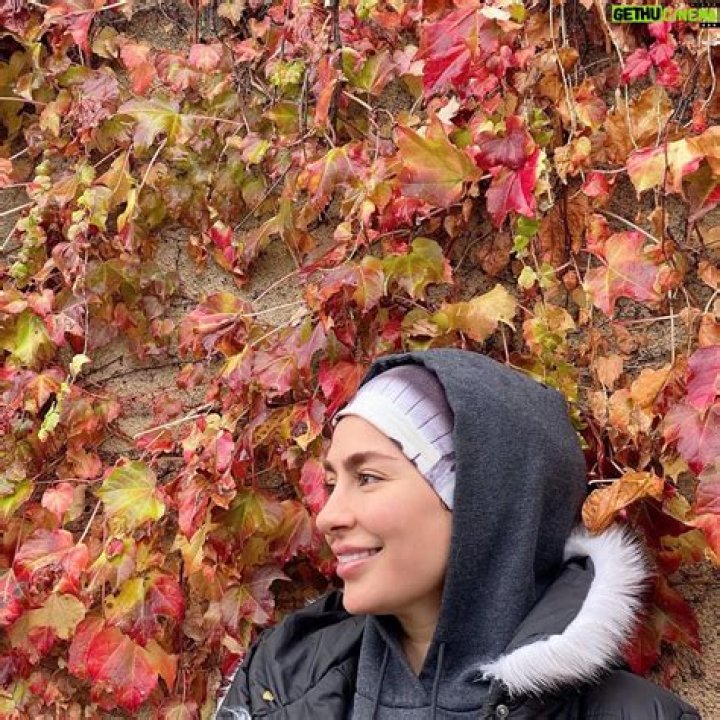 Samaneh Pakdel Net Worth