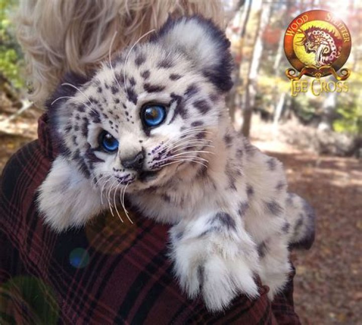 Snow Leopard Companion in Skull and Bones: A Step-by-Step Guide! - SarkariResult