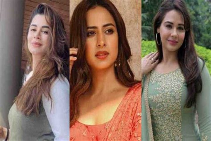 Top 10 Stunning Punjabi Actresses You Need to Know - SarkariResult