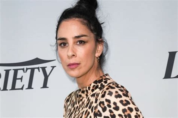 What Happened To Sarah Silverman On Sag Aftra? Controversy Explained