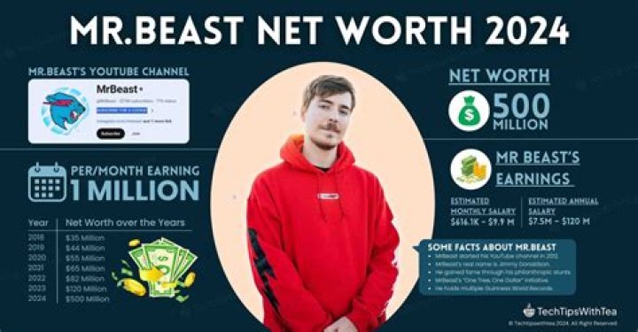What is Mr Beast Net Worth? The Untold Facts About His Career And Life