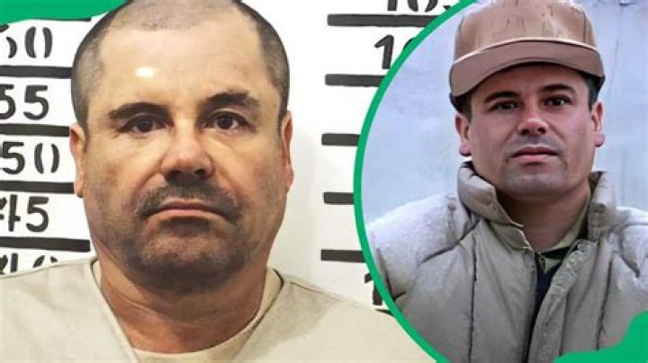 Who is El Chapo, and what is his net worth? How much does El Chapo earn? - SarkariResult